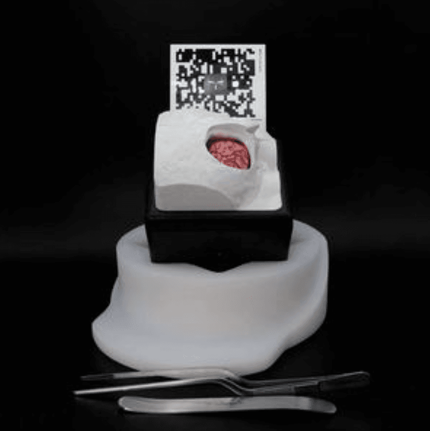 Physical brain simulator, tracking marker and Navigation Pen tools